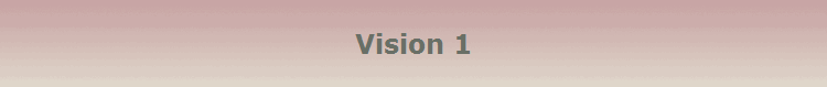 Vision 1